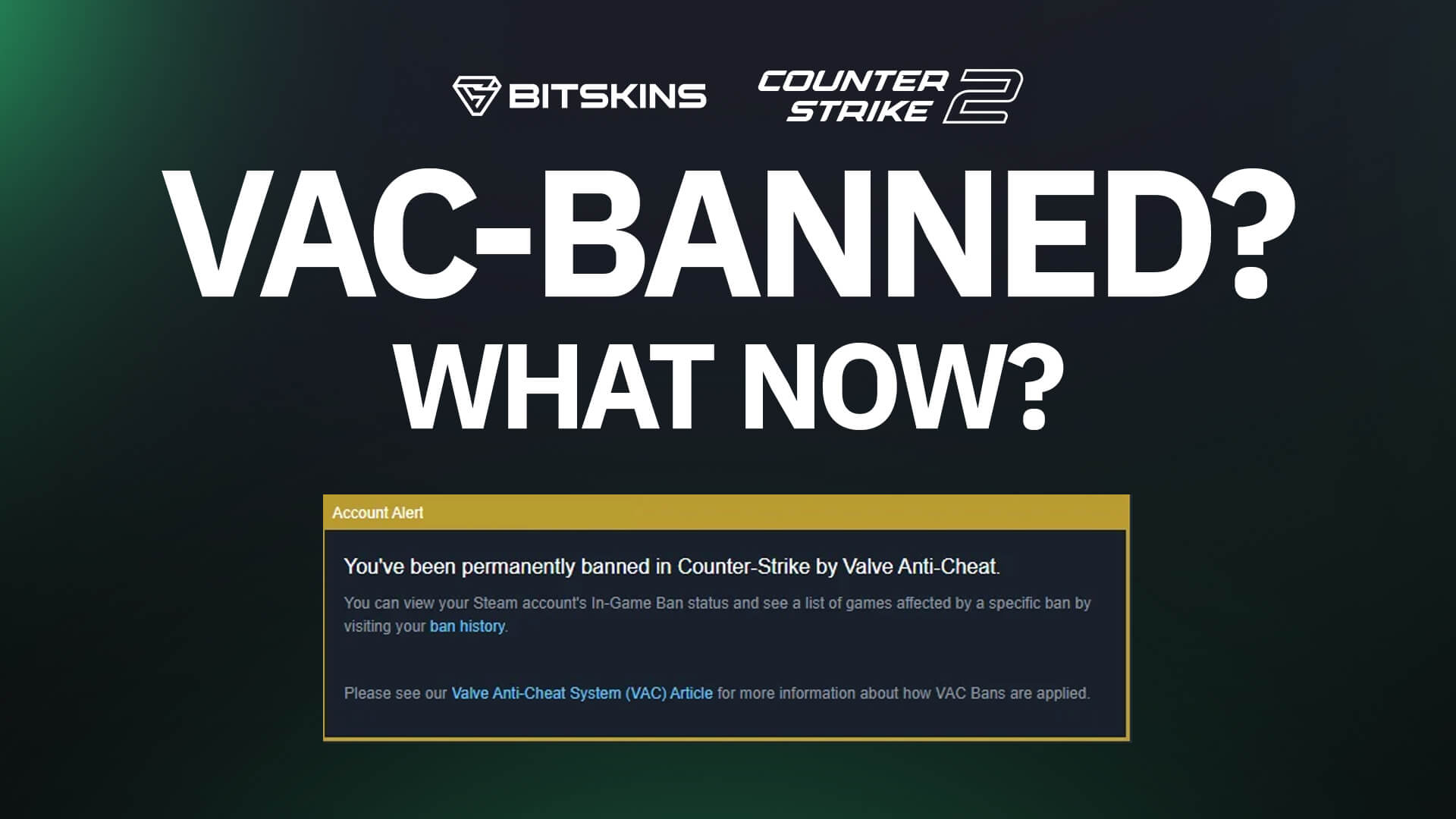 VAC Ban Chronicles: Tales from the CSGO Shadows