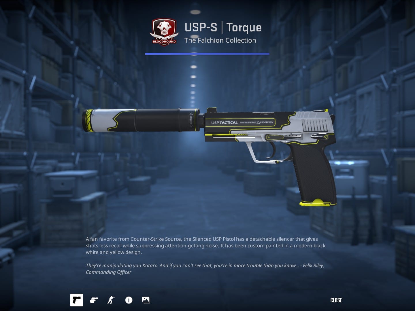 CS2 Skin Families: Torque
