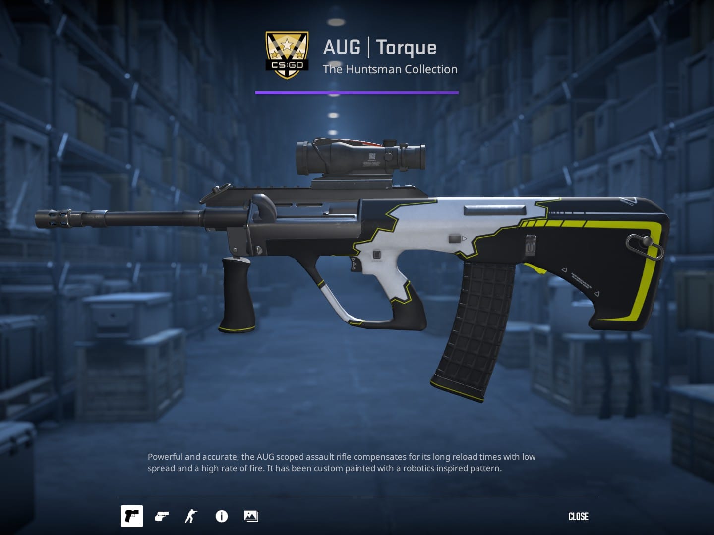 CS2 Skin Families: Torque