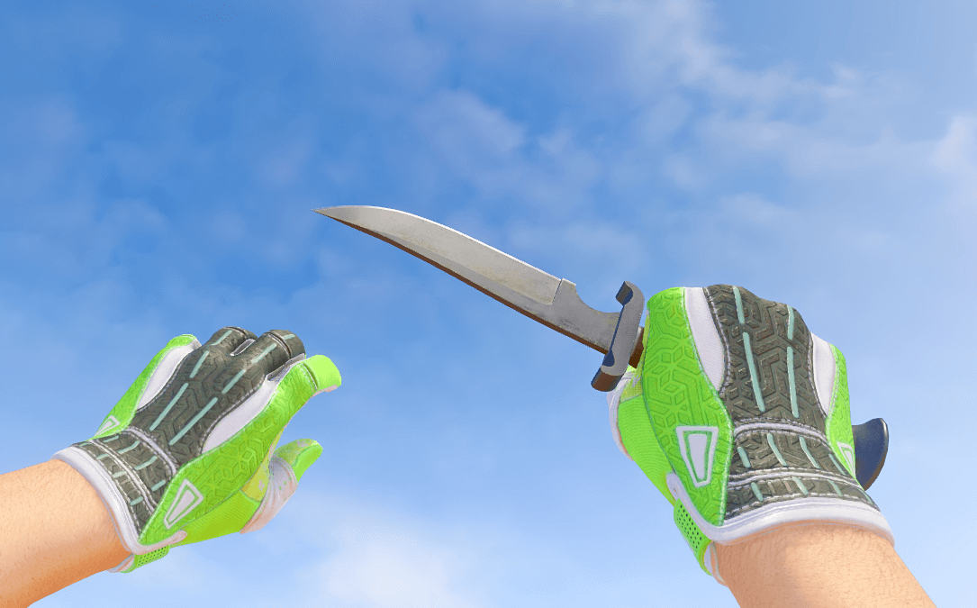 Best Green-Themed CS2 Inventory: Knife and Gloves Edition!