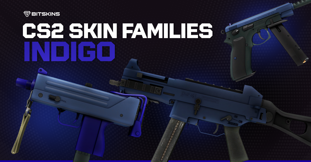 CS2 Skin Families: Indigo