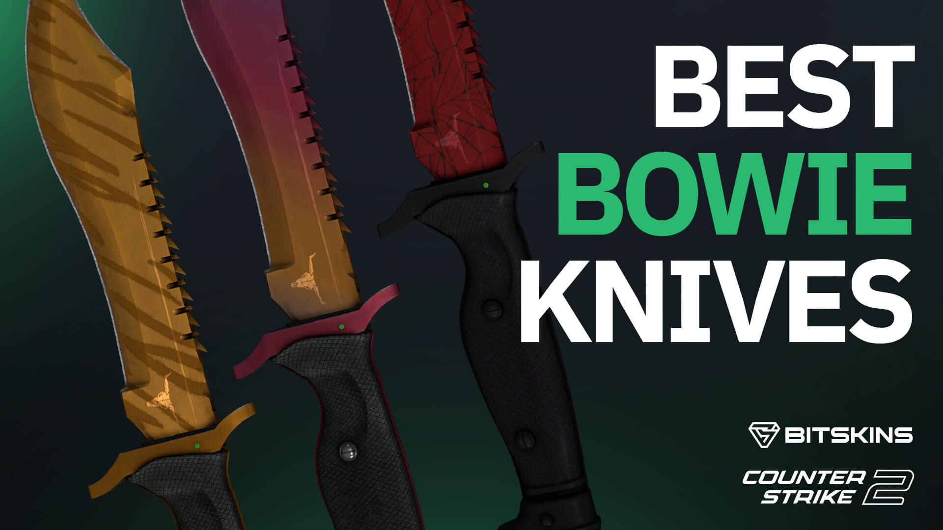 Best Bowie Knives in CS2