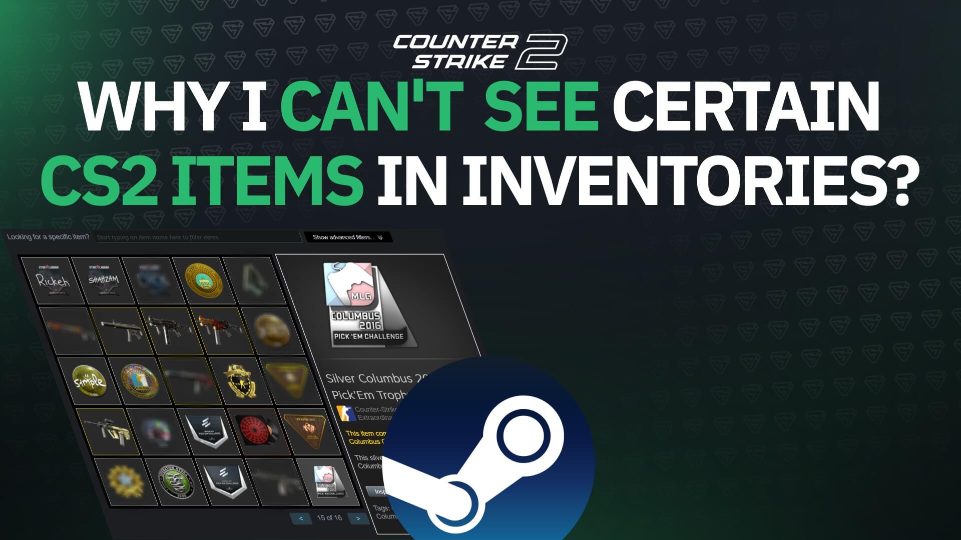 Why Can't I See Certain CS2 Items in Inventories?