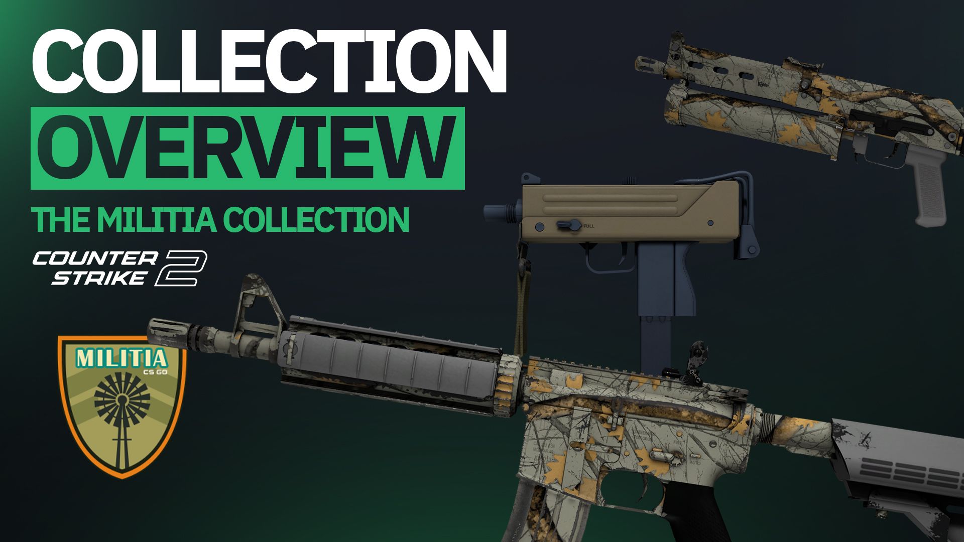 Collection Overview: The Militia Collection