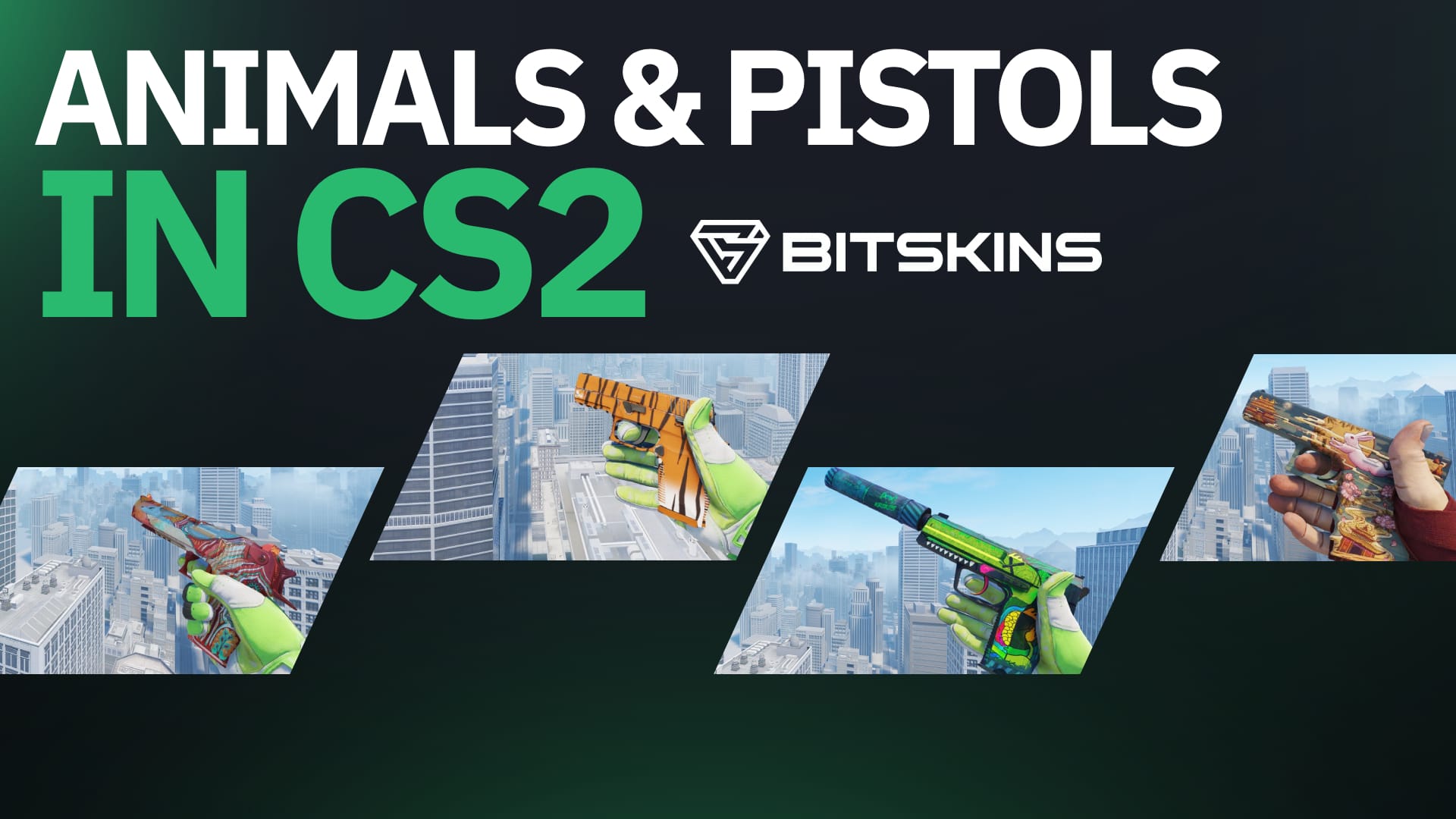 Animals & Pistols in CS2