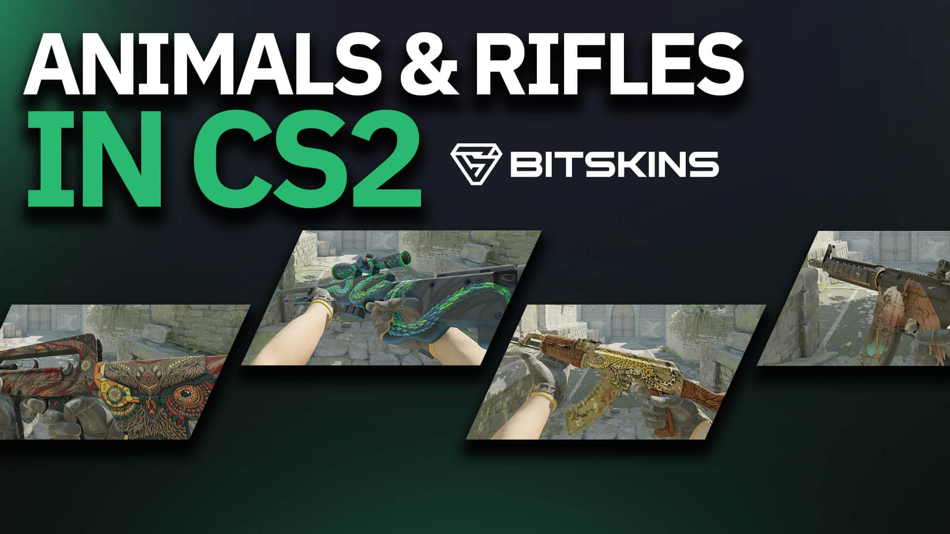 Animals & Rifles in CS2