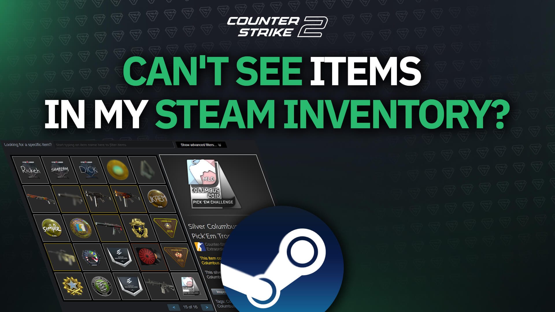 Why can't others see items in my steam inventory?