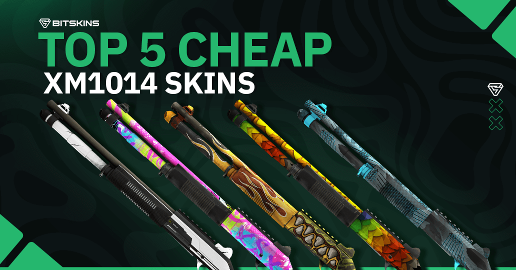 Top 5 Cheap XM1014 CS2 Skins