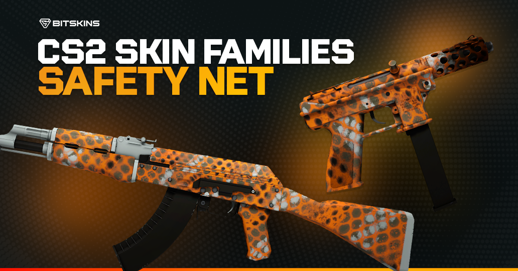 CS2 Skin Families: Safety Net