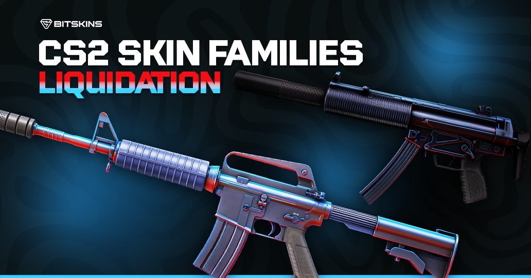 CS2 Skin Families: Liquidation