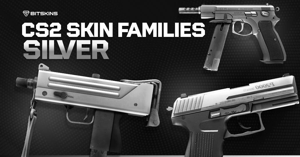CS2 Skin Families: Silver