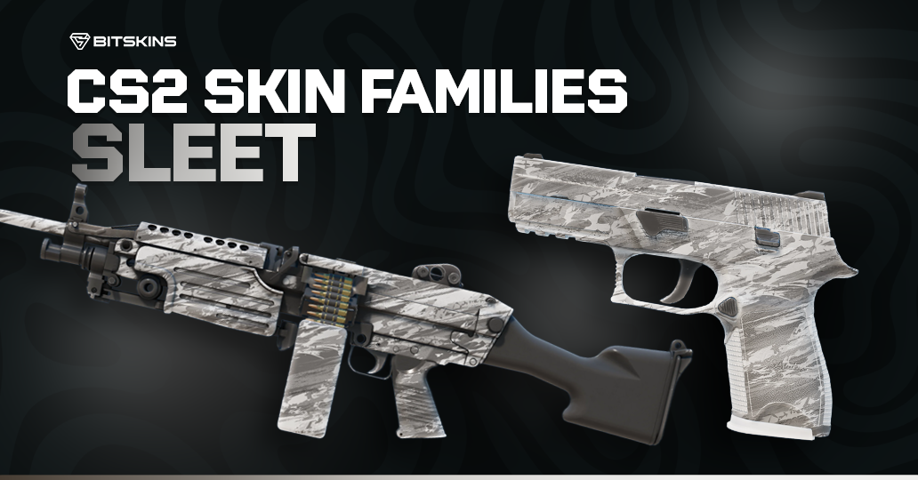 CS2 Skin Families: Sleet