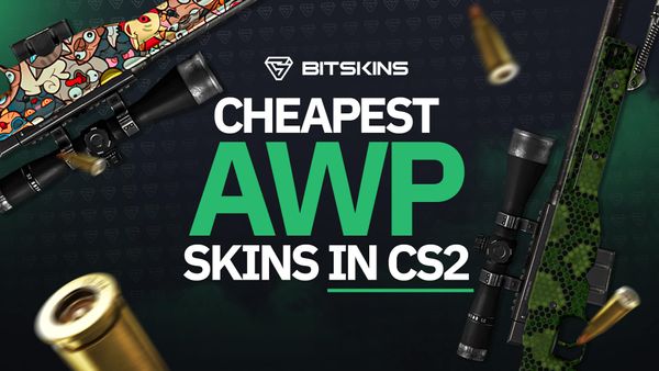 TOP 10 Best Cheap AWP Skins in CS2