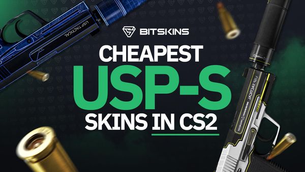TOP 10 Best Cheap USP-S Skins in CS2