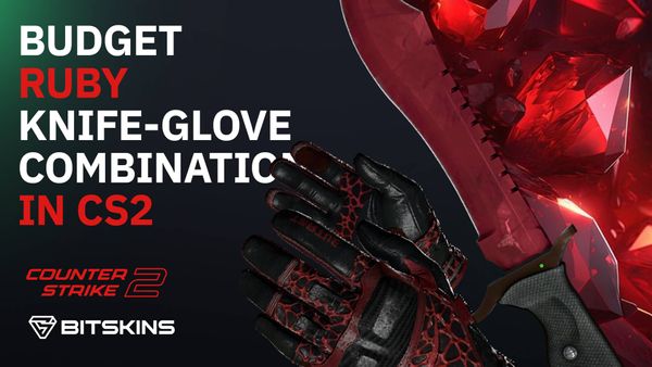 Budget Ruby Knife-Glove Combinations in CS2