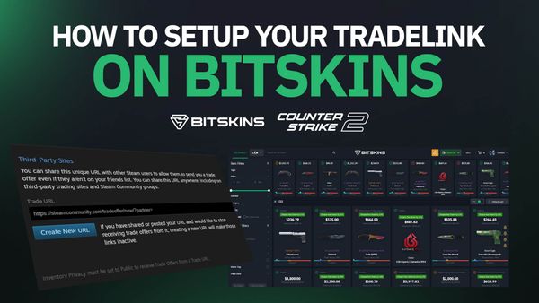 Fix Missing Tradelink/Wrong Tradelink: How to Add Tradelink on BitSkins?