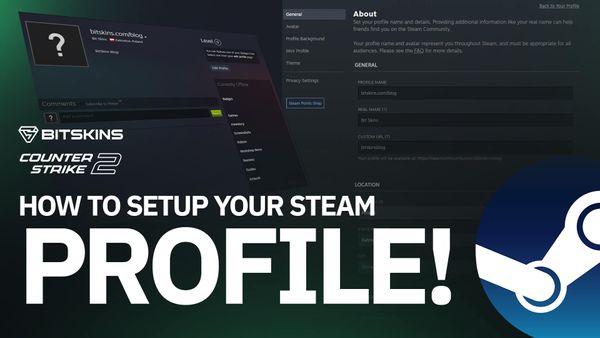 How to Set Up Your Steam Profile?