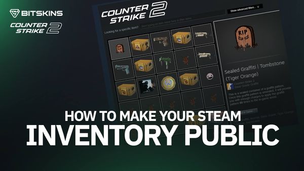 How to Make Your Steam Inventory Public
