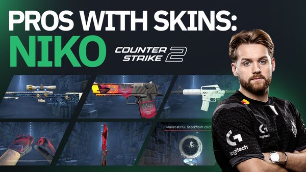 Pros With Skins: NiKo Edition