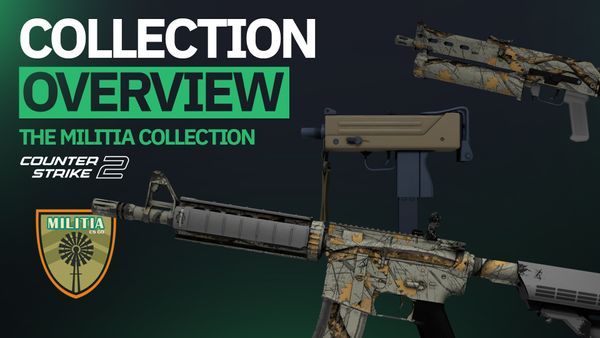 Collection Overview: The Militia Collection