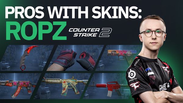 Pros With Skins: Part 2 - ropz's Inventory