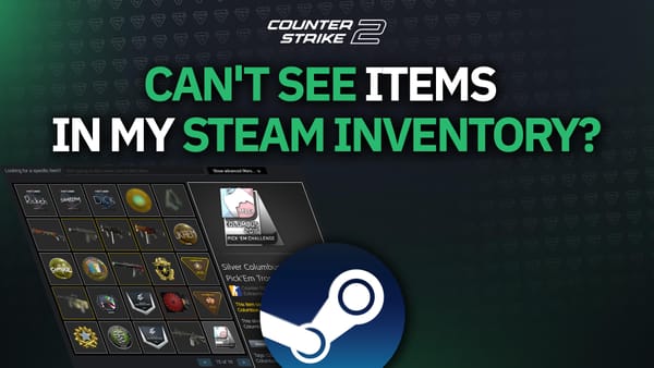 Why can't others see items in my steam inventory?