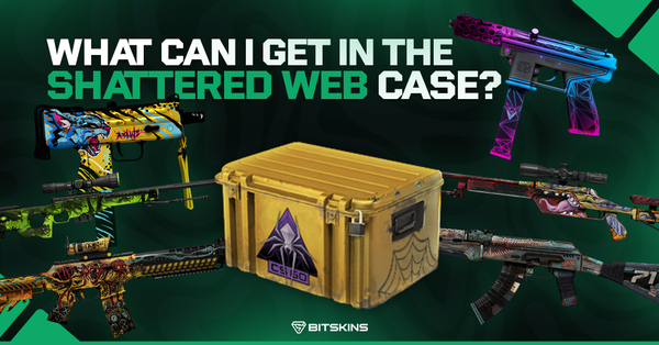 What can I get in the Shattered Web Case in CS2?