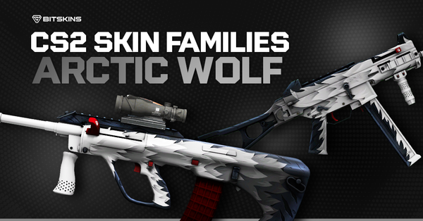CS2 Skin Families: Arctic Wolf