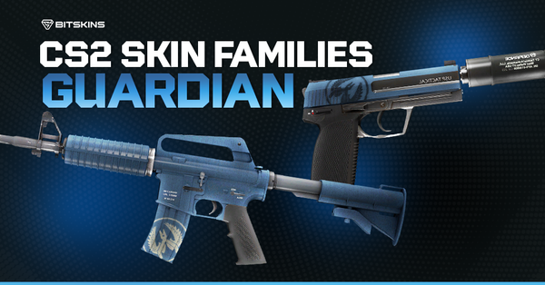 CS2 Skin Families: Guardian