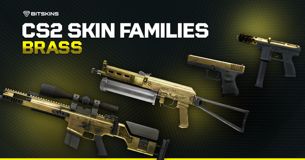CS2 Skin Families: Brass
