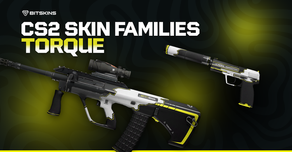 CS2 Skin Families: Torque