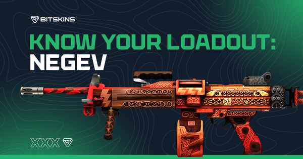 Know Your Loadout: Negev