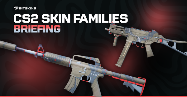 CS2 Skin Families: Briefing