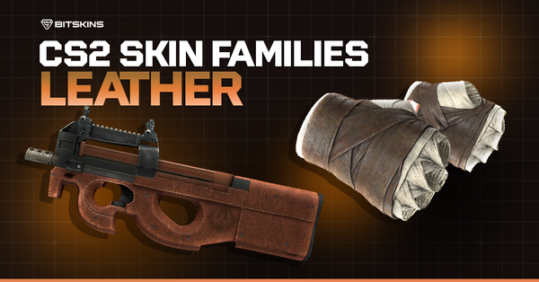 CS2 Skin Families: Leather