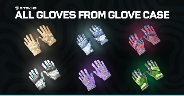 All Gloves from the Glove Case