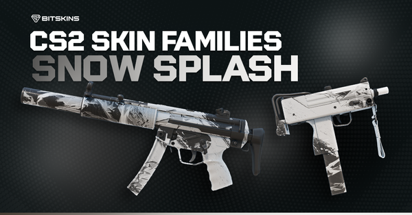 CS2 Skin Families: Snow Splash